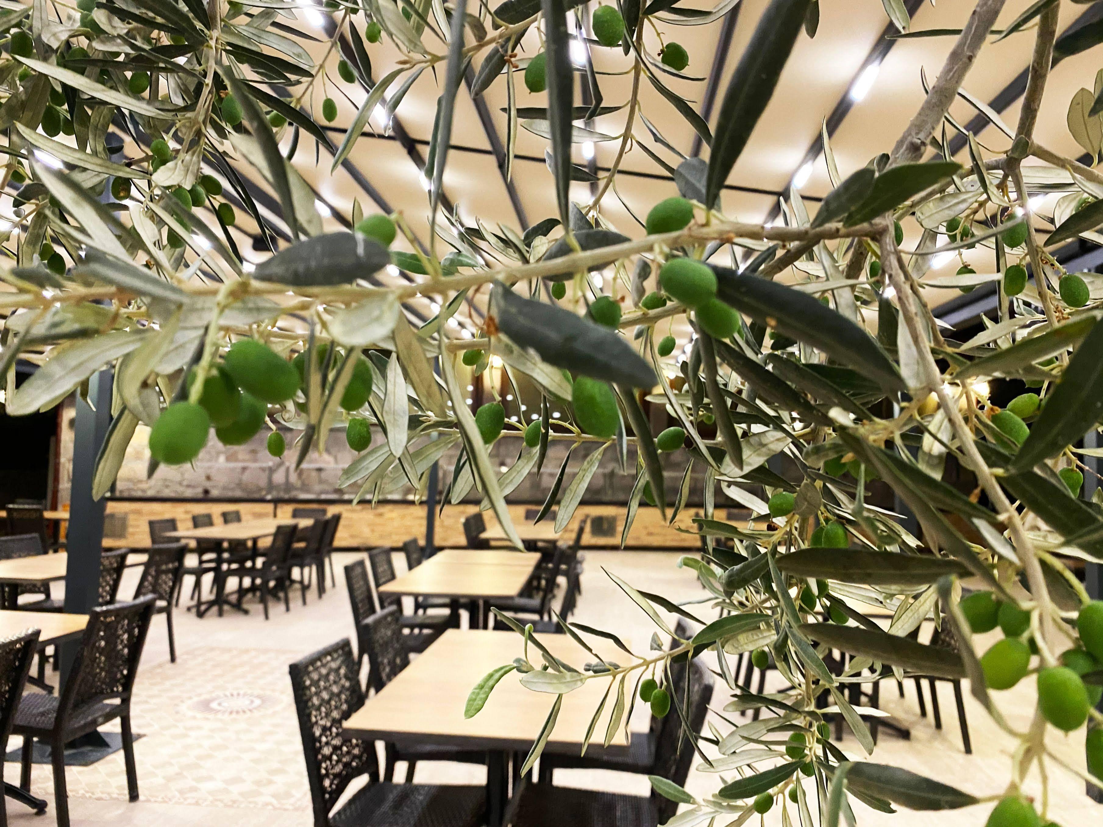 阿索斯公园酒店 Assos 外观 照片